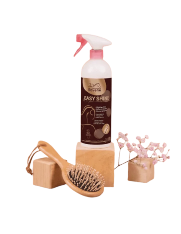 Easy shine edition limitée 20 ans - RAVENE