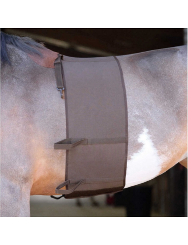 Bande de respect - NORTON