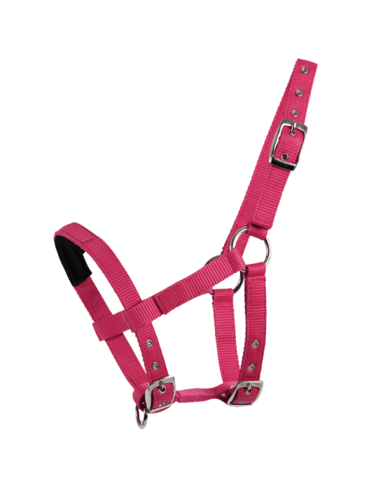 Licol Mini-Shetty - WALDHAUSEN