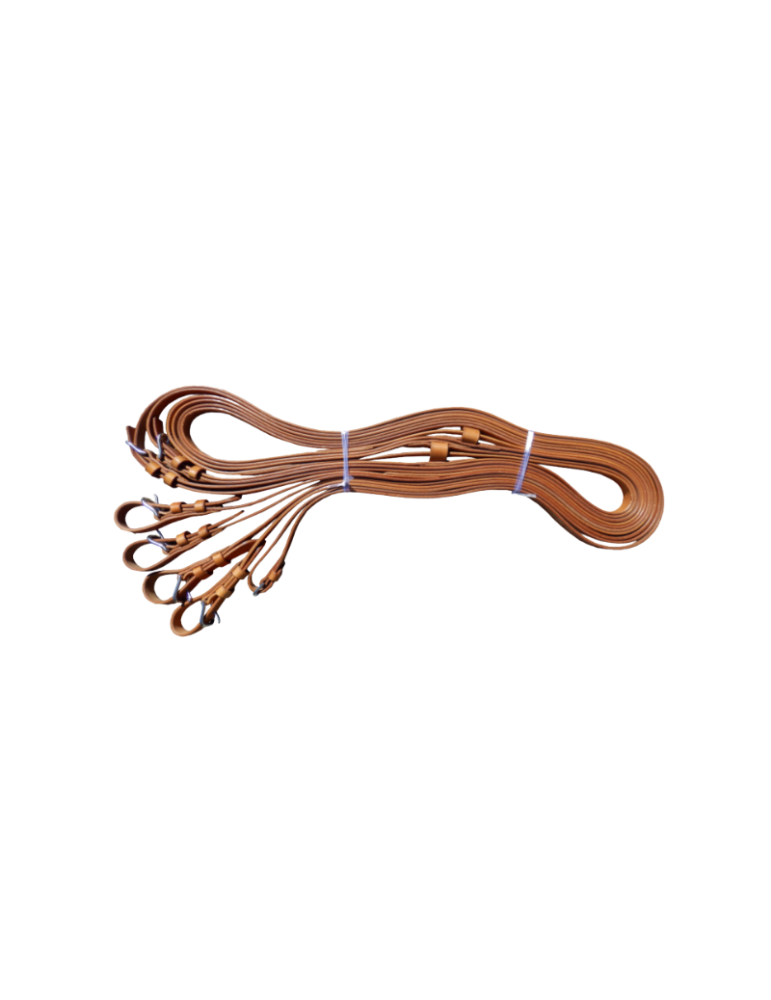 Guides cuir en paire