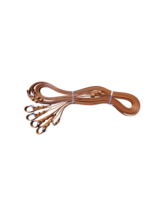 Guides cuir en paire