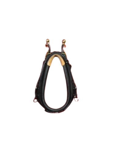 Collier américain