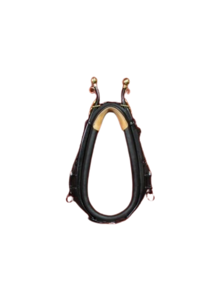 Collier américain