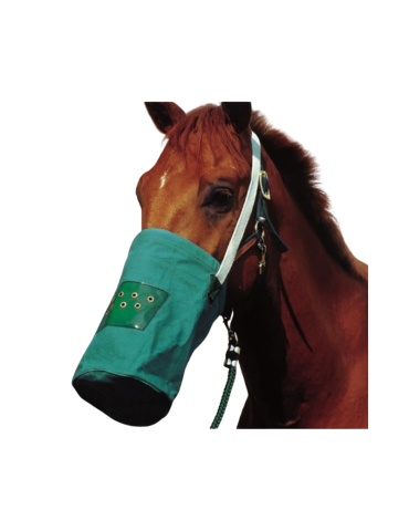 Musette canvas HIPPOTONIC