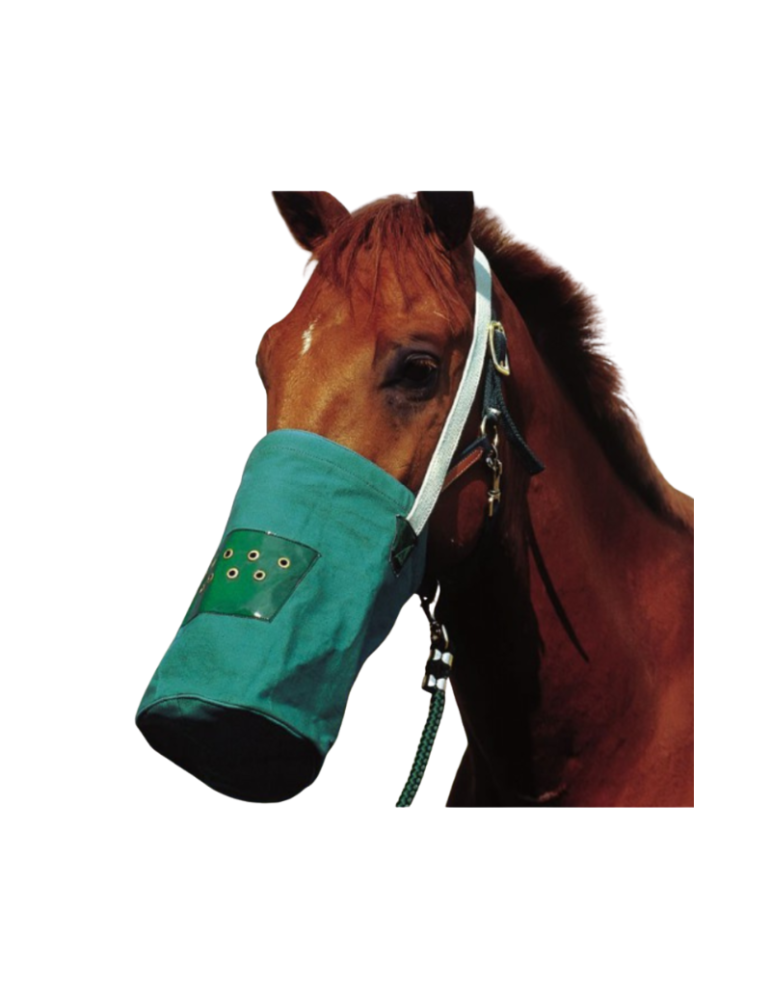 Musette canvas - HIPPOTONIC