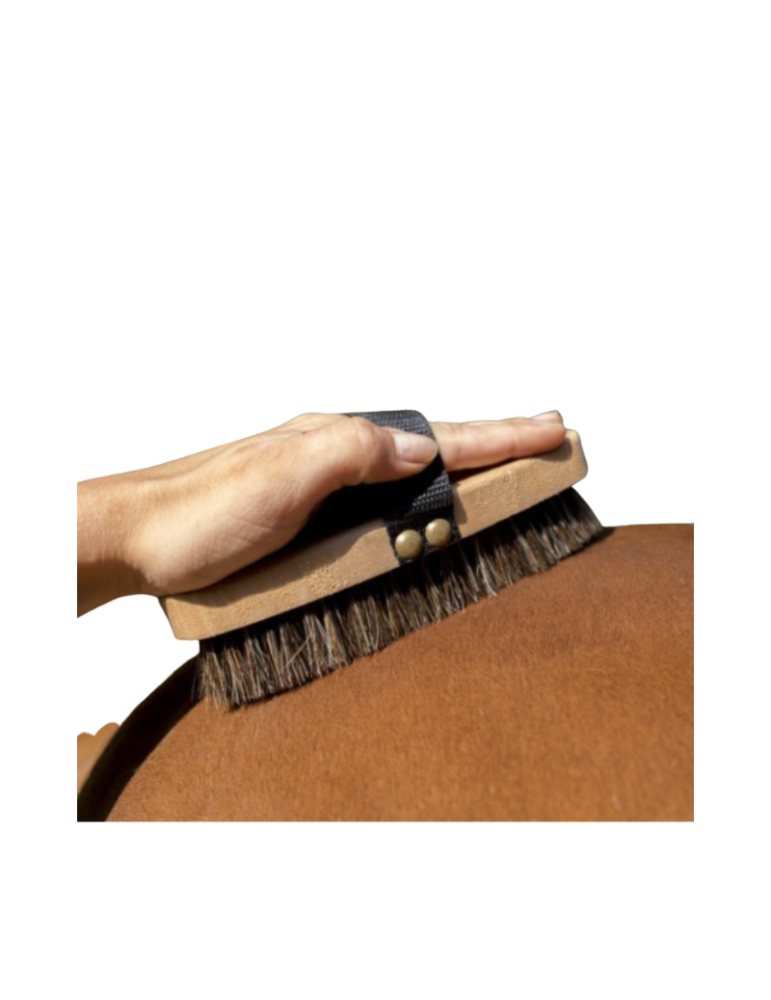Brosse extra-douce HIPPOTONIC