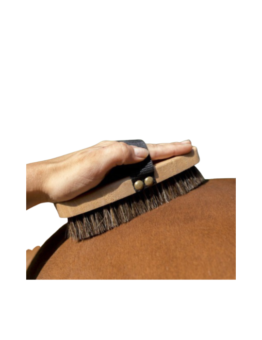Brosse extra-douce HIPPOTONIC