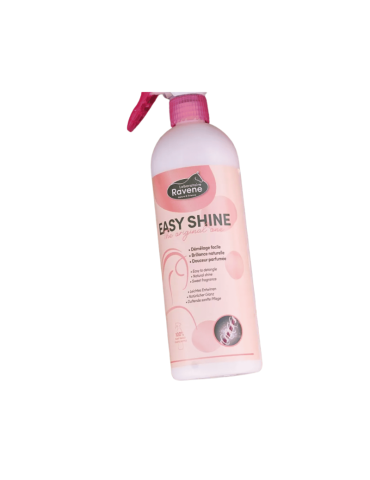 Démêlant Easy Shine - RAVENE