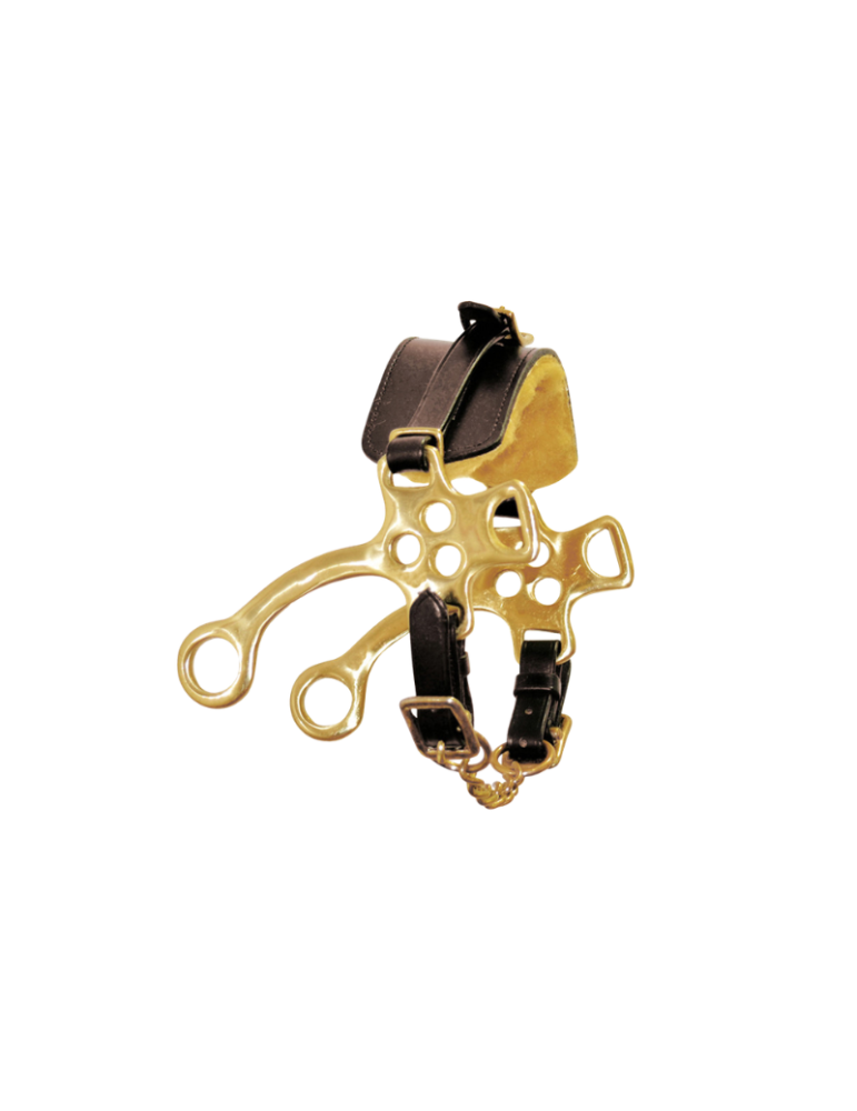 Hackamore en laiton avec muserolle en cuir