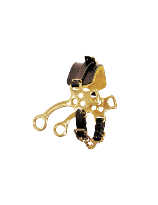 Hackamore en laiton avec muserolle en cuir