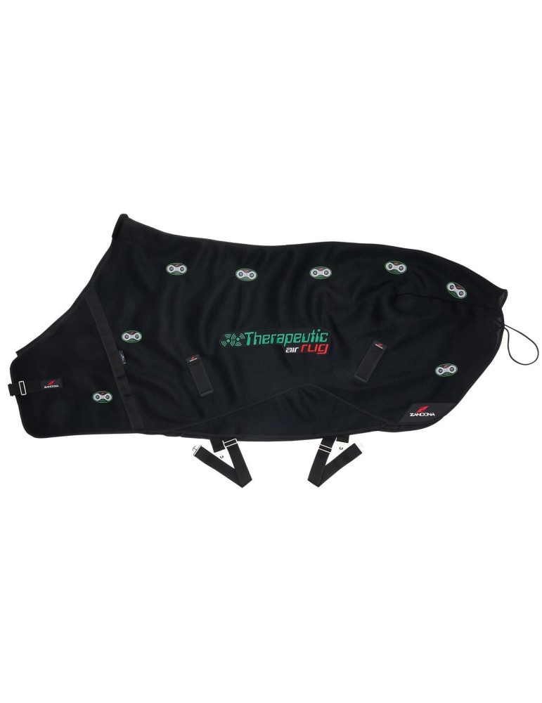 Tapis d'air thérapeutique