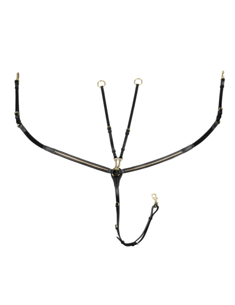 Collier de chasse avec détails dorée