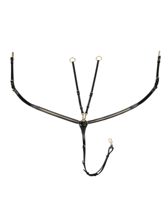 Collier de chasse avec détails dorée