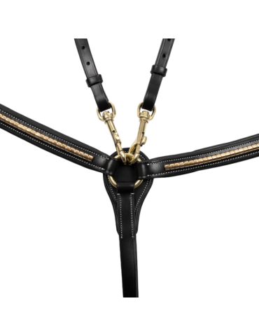 Collier de chasse avec détails dorée 2