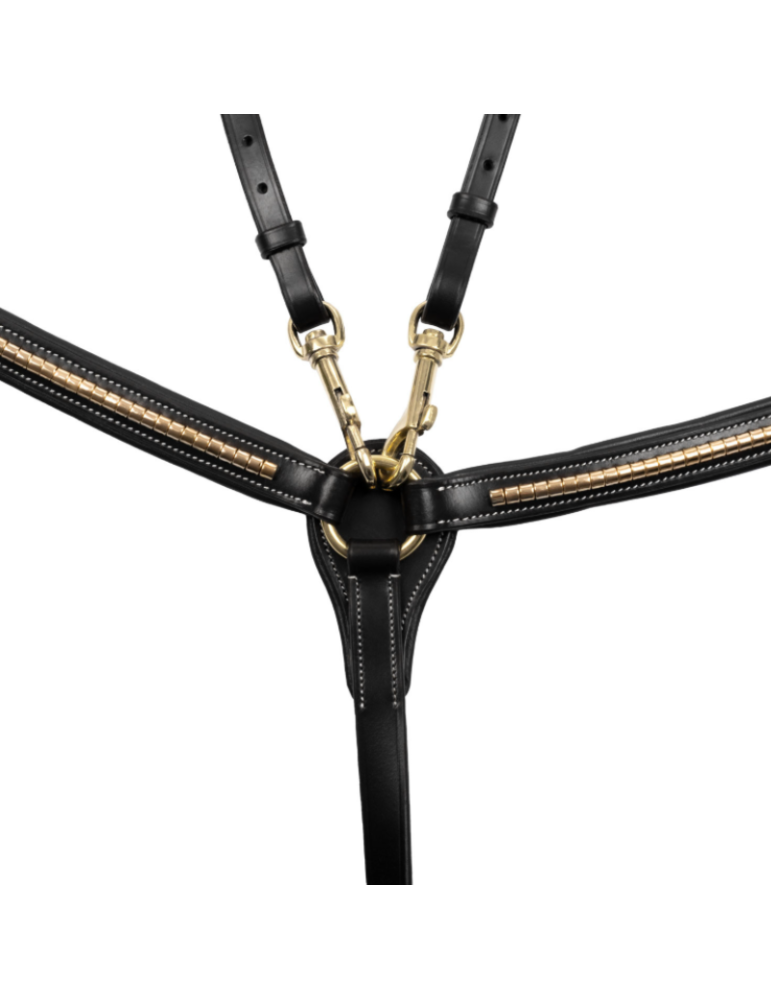 Collier de chasse avec détails dorée