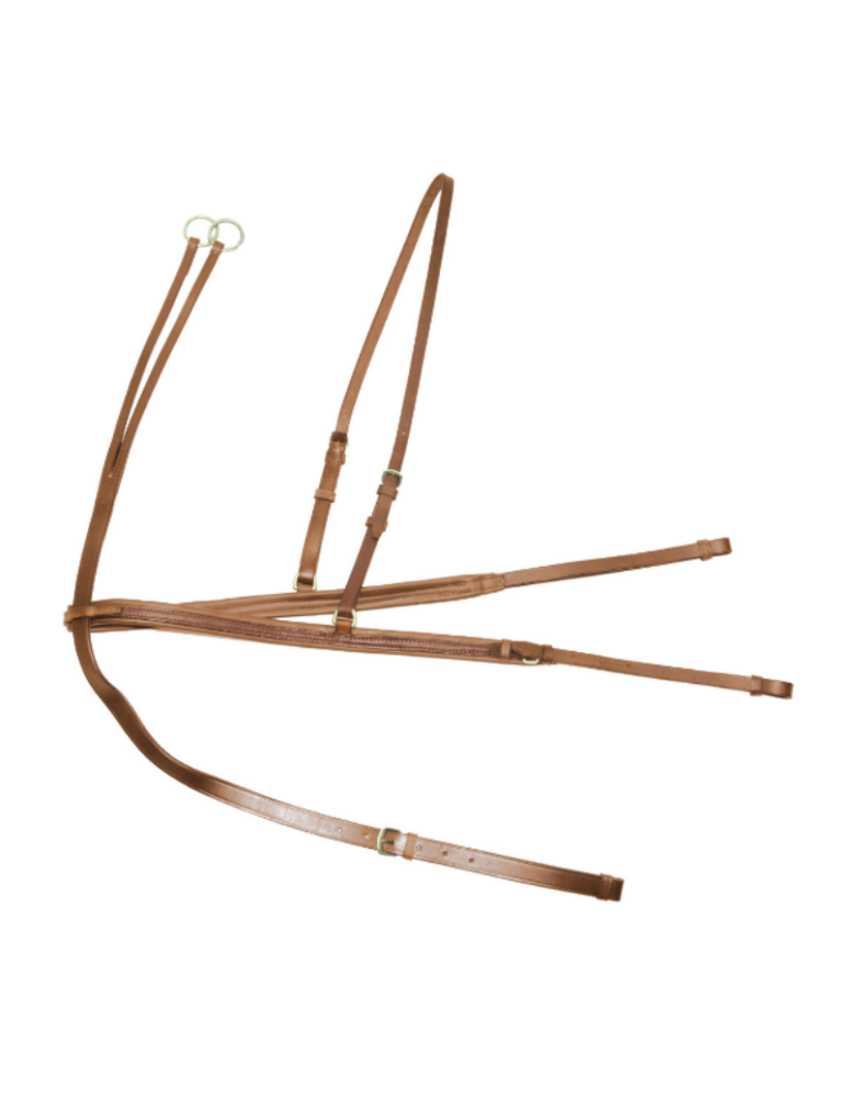 Bricole + martingale Derby