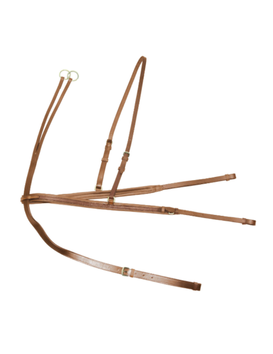 Bricole + martingale Derby