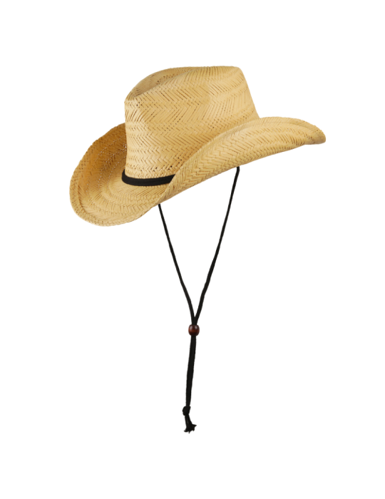 Chapeau Vacher - SCIPPIS