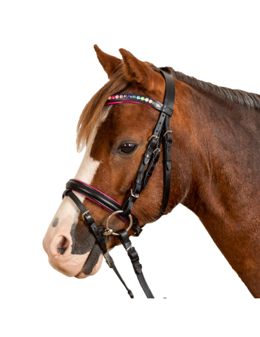 STAR Bridon Pinky