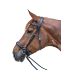 STAR Bridon sans mors