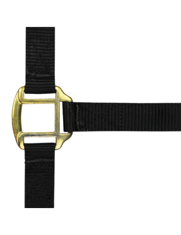 Licol nylon doublé cuir TRAIT - NORTON 2