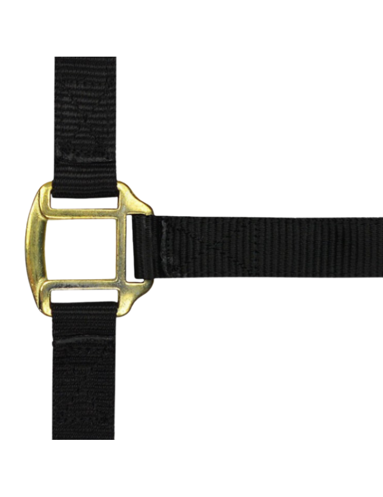 Licol nylon doublé cuir TRAIT - NORTON