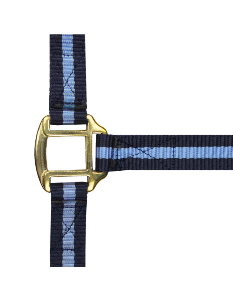 Licol nylon doublé cuir PONEY - NORTON