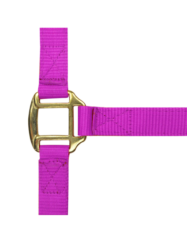 Licol nylon doublé cuir PONEY - NORTON