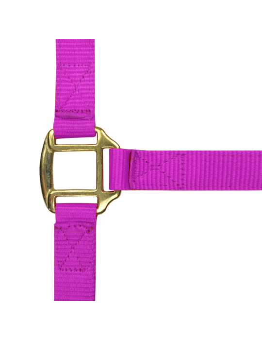 Licol nylon doublé cuir PONEY - NORTON