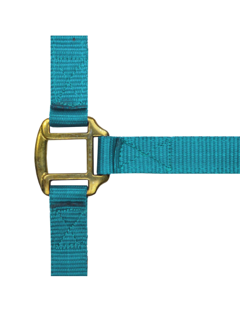 Licol nylon doublé cuir PONEY - NORTON