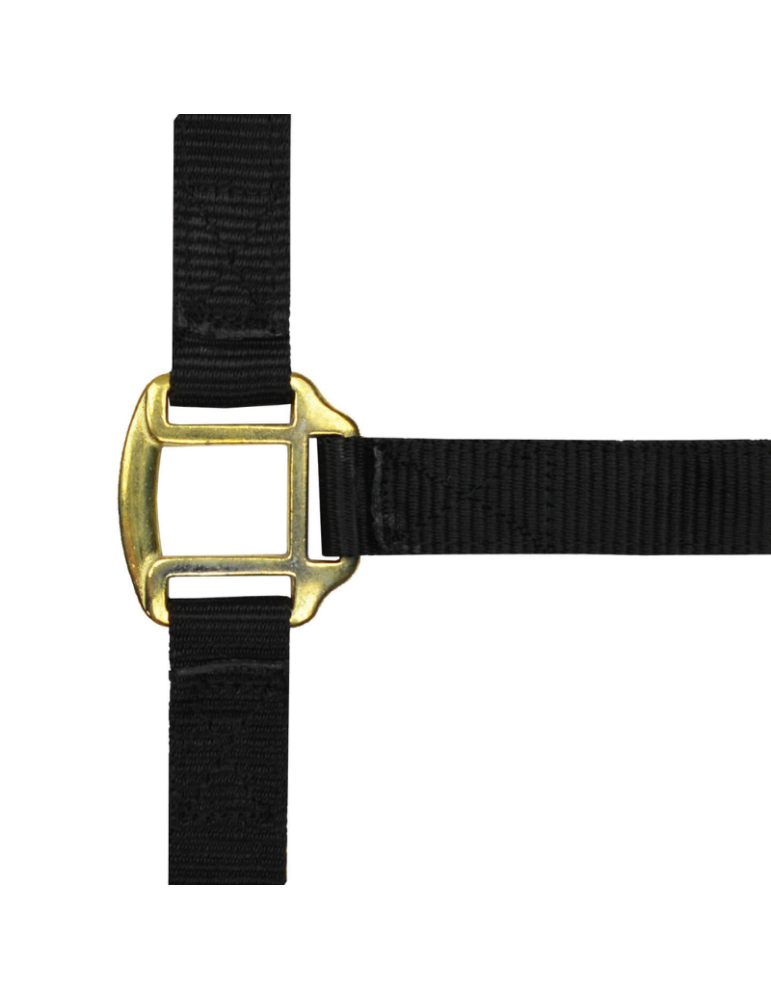 Licol nylon doublé cuir PONEY - NORTON