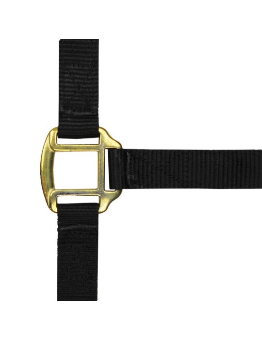 Licol nylon doublé cuir PONEY - NORTON