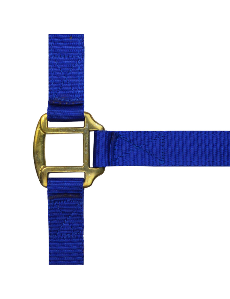 Licol nylon doublé cuir PONEY - NORTON