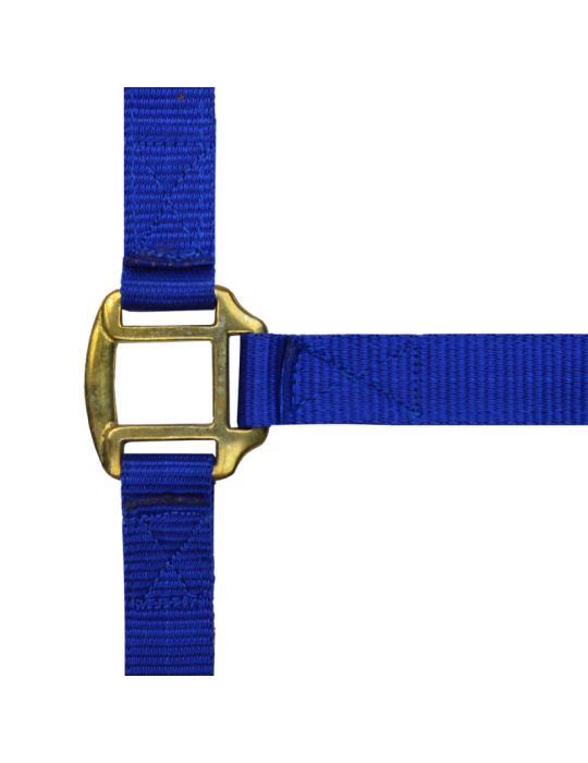 Licol nylon doublé cuir PONEY - NORTON