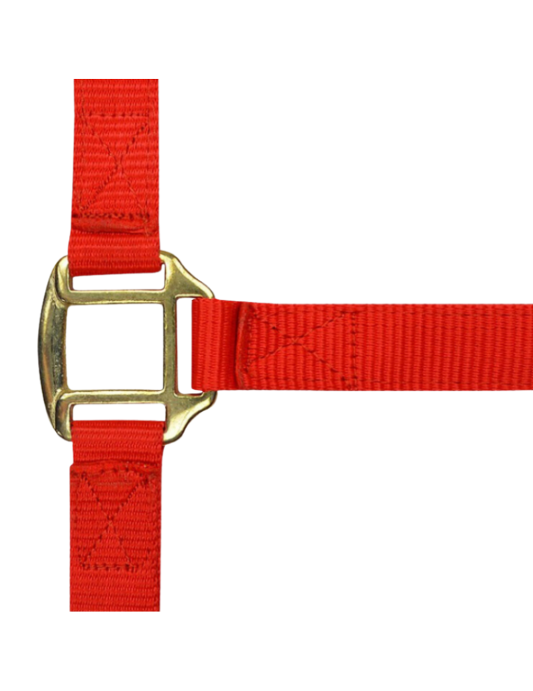 Licol nylon doublé cuir PONEY - NORTON