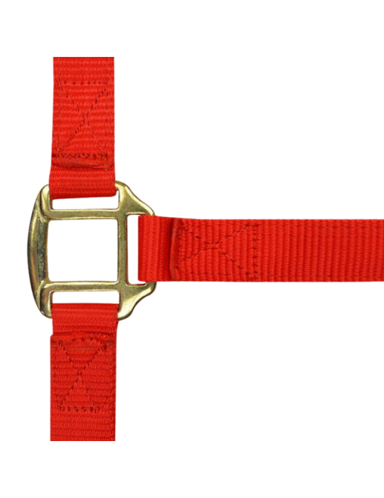 Licol nylon doublé cuir PONEY - NORTON