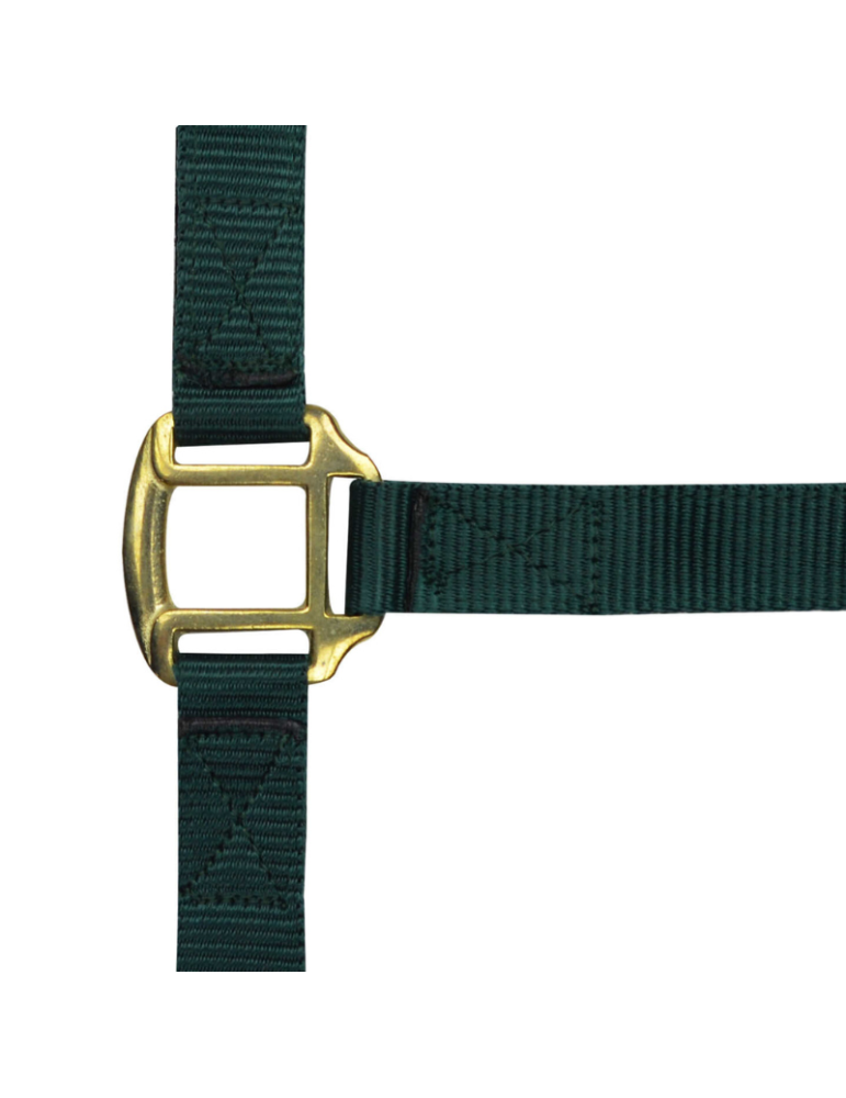 Licol nylon doublé cuir PONEY - NORTON