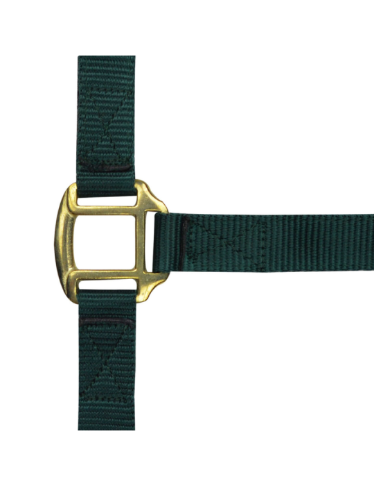 Licol nylon doublé cuir PONEY - NORTON