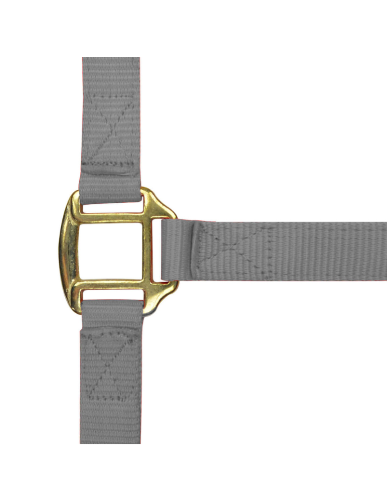 Licol nylon doublé cuir PONEY - NORTON