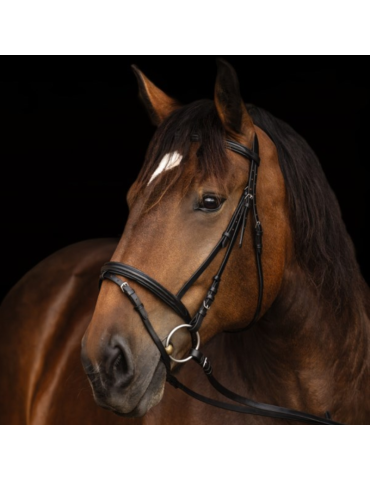 Bridon pour cheval de trait - KERBL