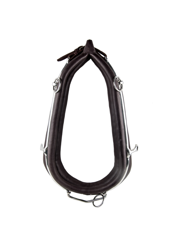 Collier anglais en cuir