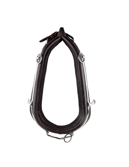 Collier anglais en cuir