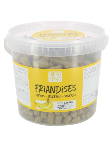 Friandises banane - HIPPOTONIC 2