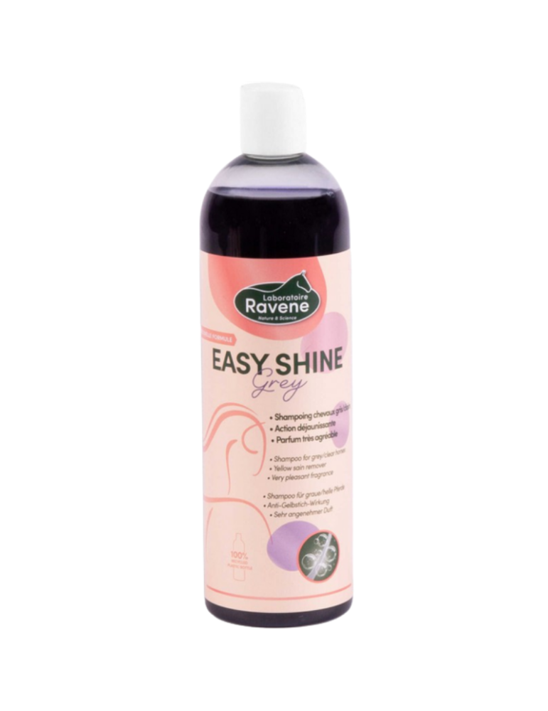 Shampoing Easy Shine Grey - RAVENE