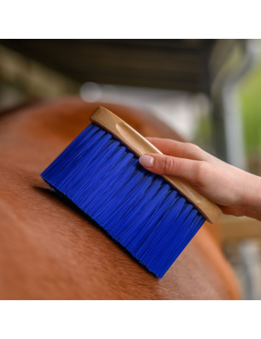 Brosse à poussière Colorcare - WALDHAUSEN 2