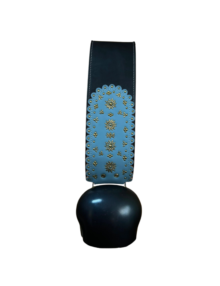 Varrone n°14 décorée doublé bleu + clous