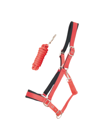 Licol satiné doublé et longe - T DE T 2