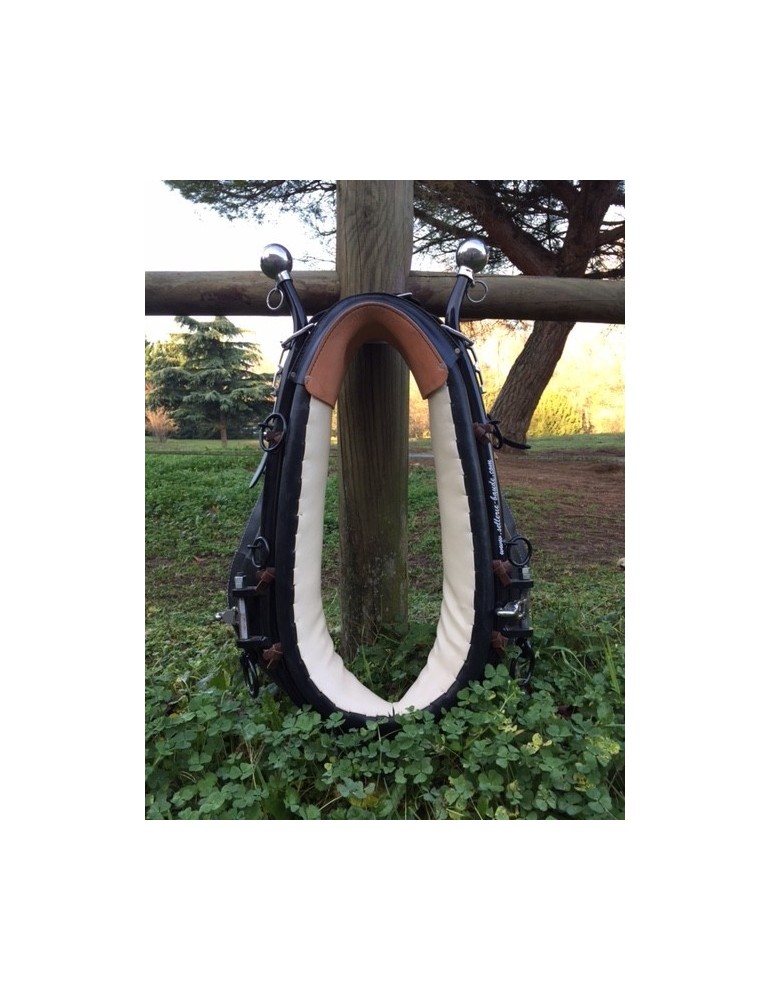 Collier américain + renforçure