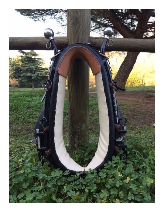 Collier américain + renforçure