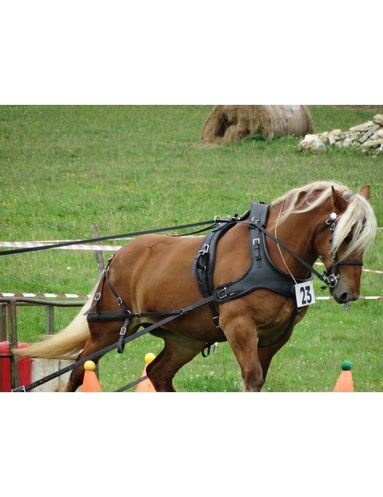 Harnais biothane trait SB – Sellerie Baude